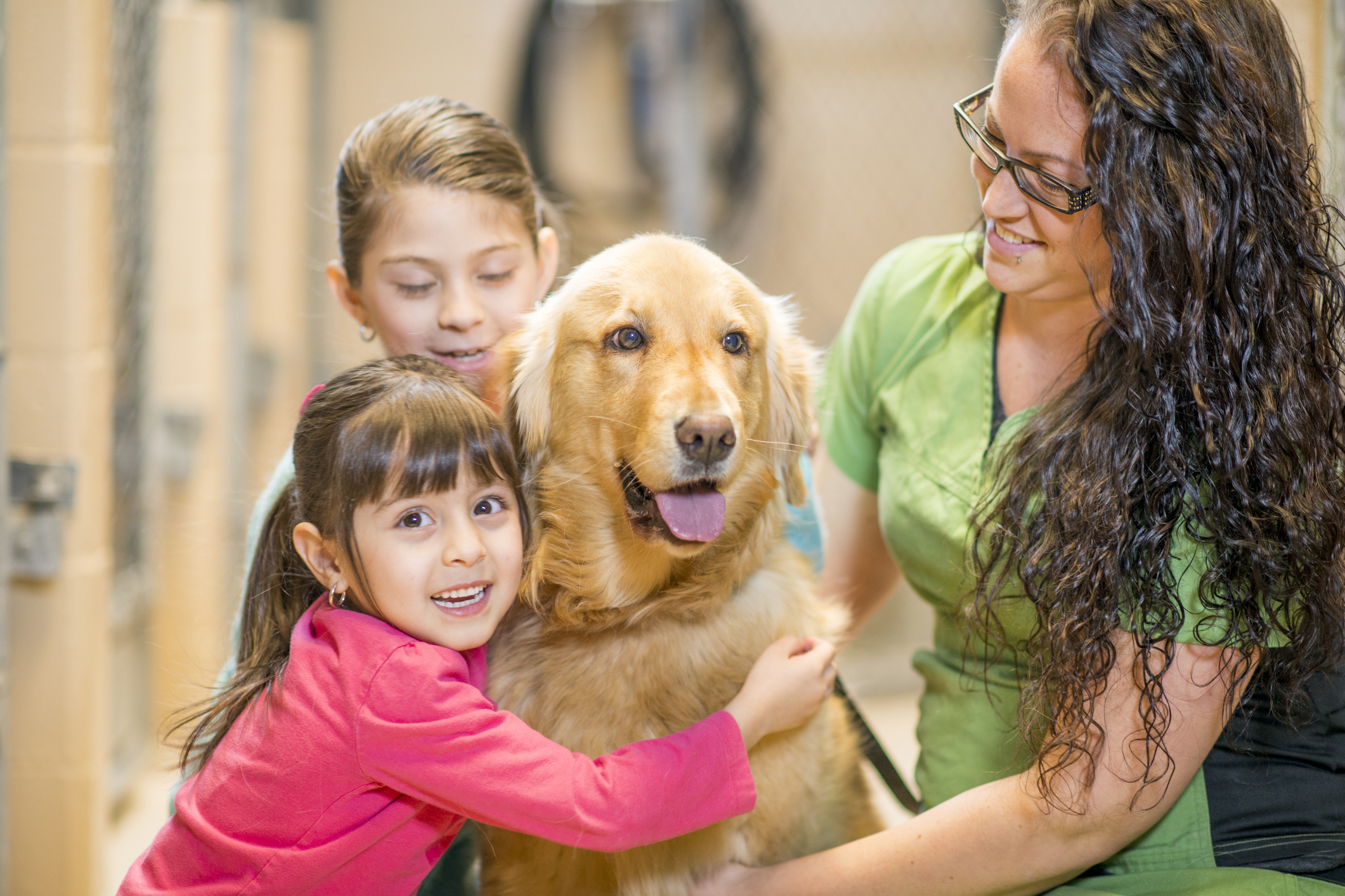 Digital Signage Increases Pet Adoptions | Retriever Digital Signage